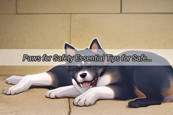 Paws for Safety Essential Tips for Safe Dog Rides in the Car